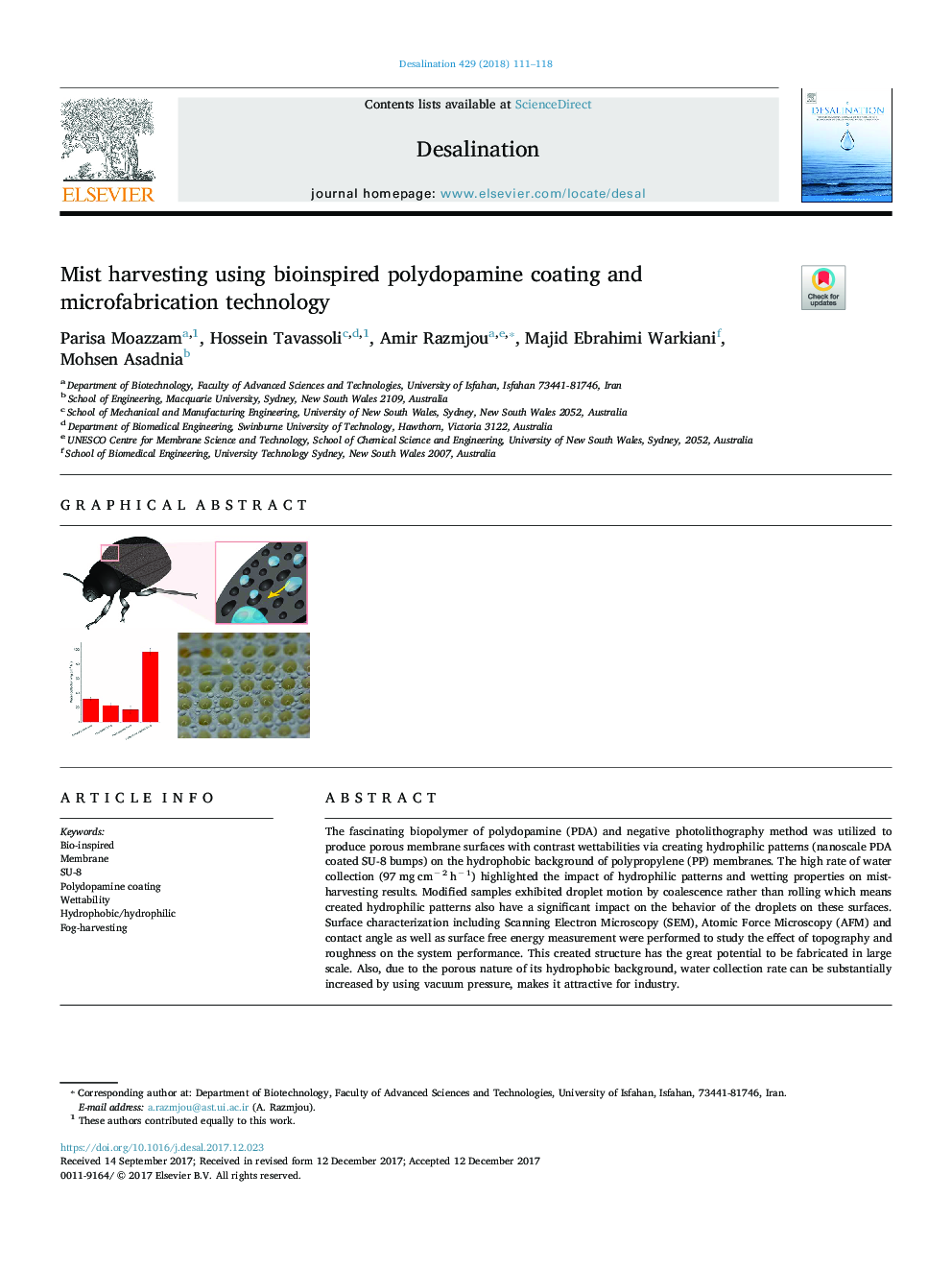 Mist harvesting using bioinspired polydopamine coating and microfabrication technology