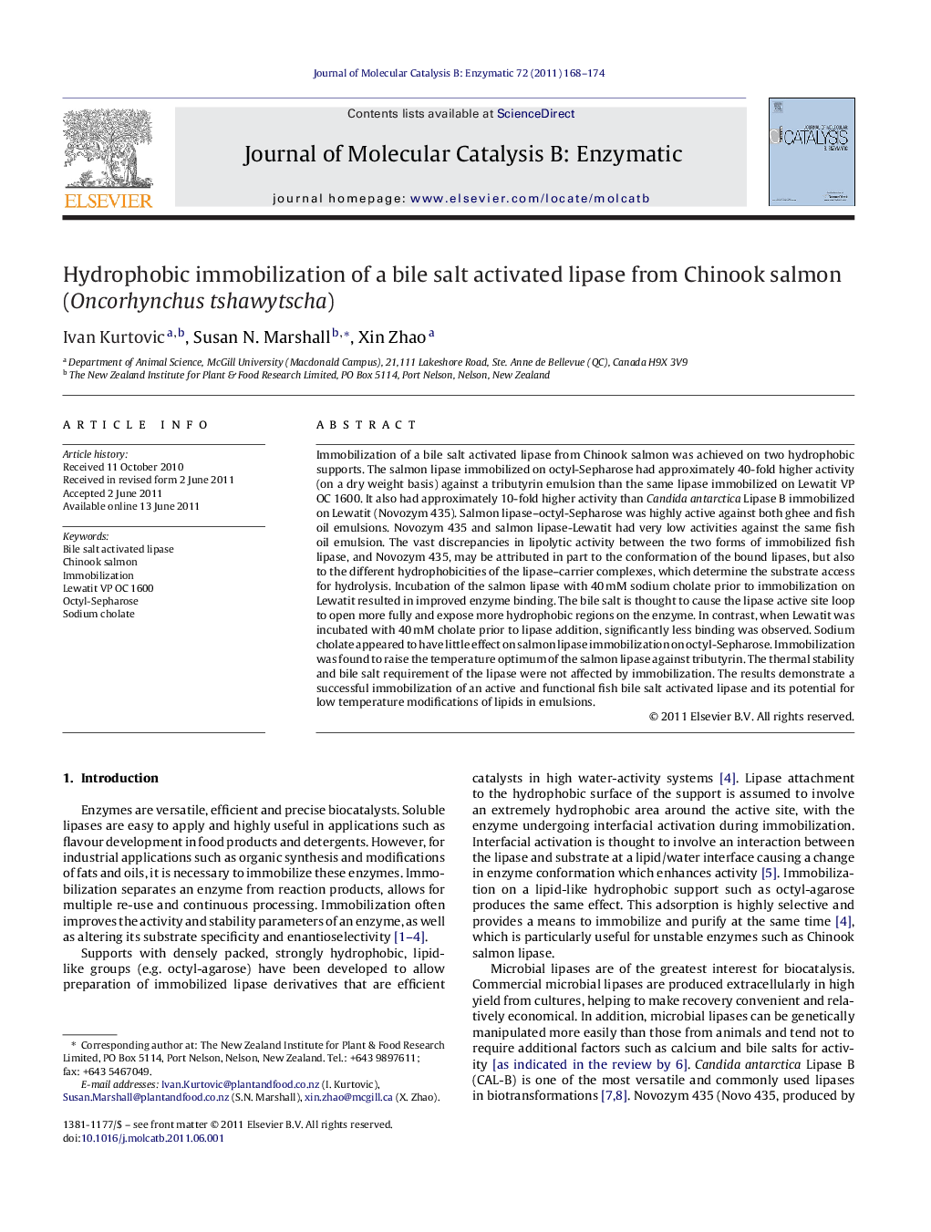 Hydrophobic immobilization of a bile salt activated lipase from Chinook salmon (Oncorhynchus tshawytscha)