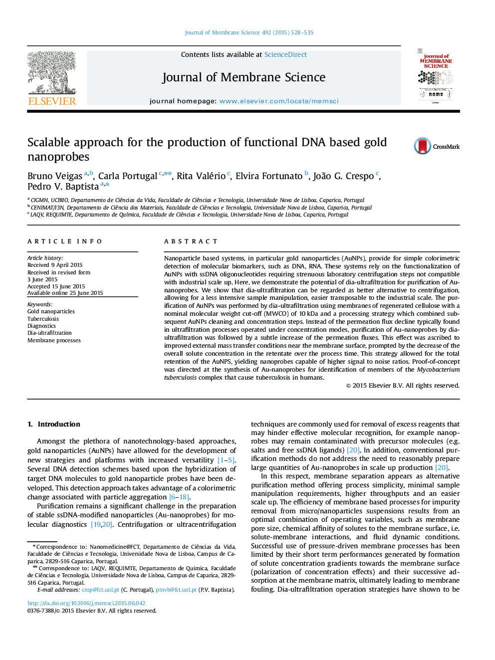 Scalable approach for the production of functional DNA based gold nanoprobes