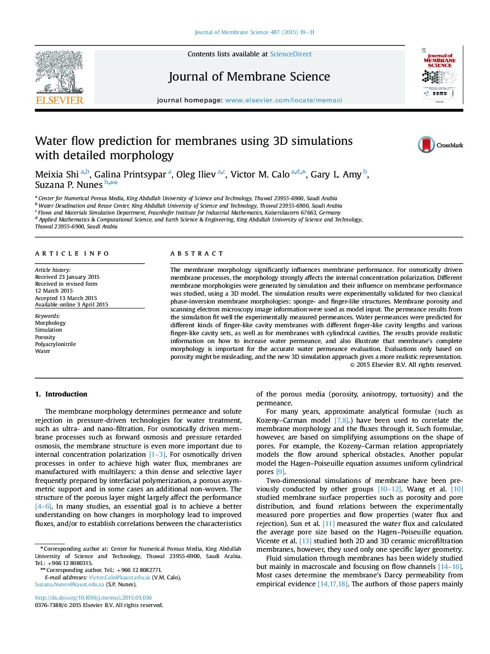 Water flow prediction for membranes using 3D simulations with detailed morphology