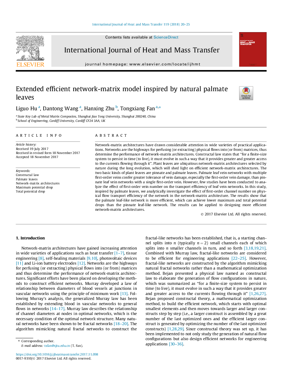 Extended efficient network-matrix model inspired by natural palmate leaves