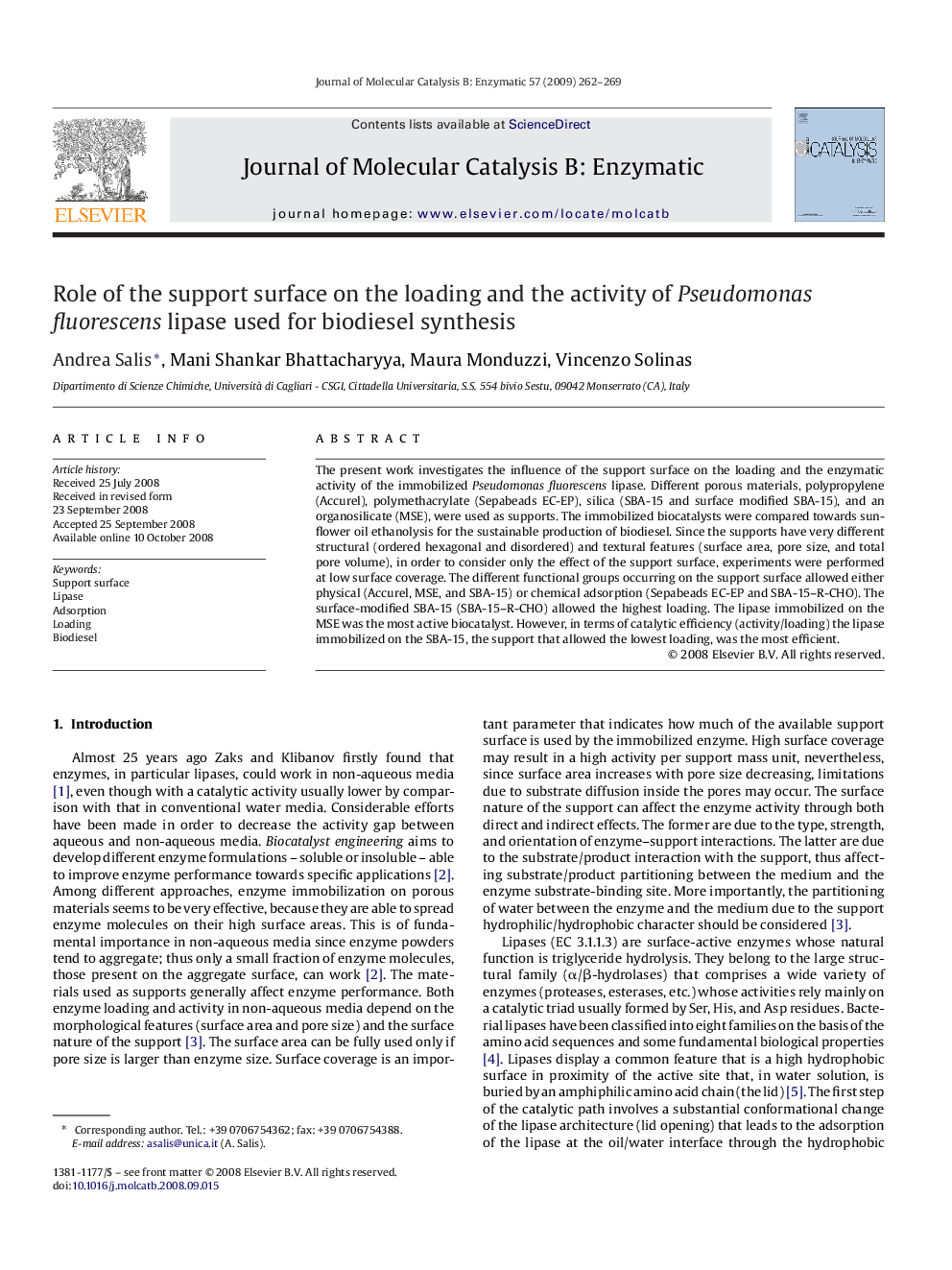 Role of the support surface on the loading and the activity of Pseudomonas fluorescens lipase used for biodiesel synthesis