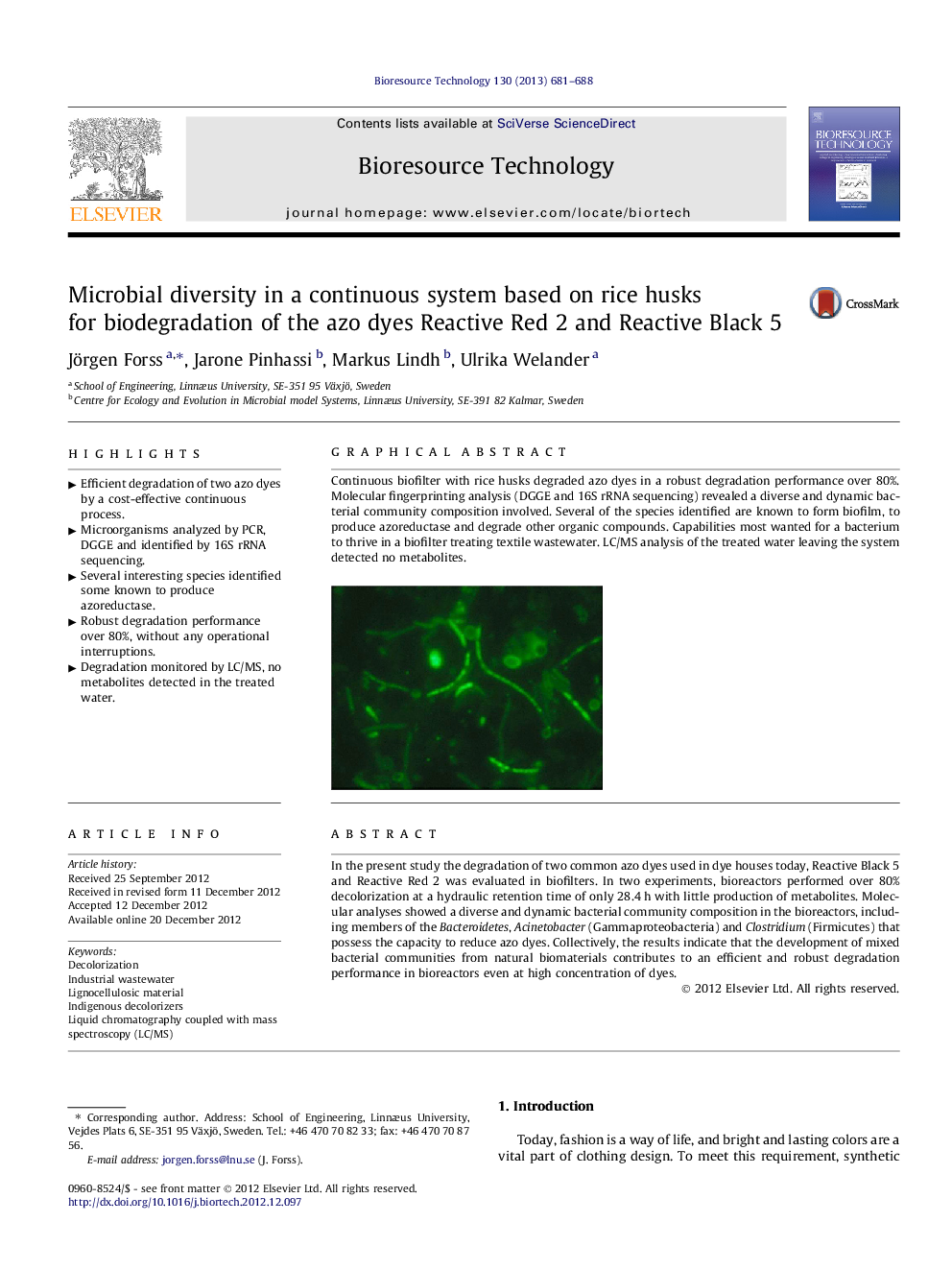 Microbial diversity in a continuous system based on rice husks for biodegradation of the azo dyes Reactive Red 2 and Reactive Black 5