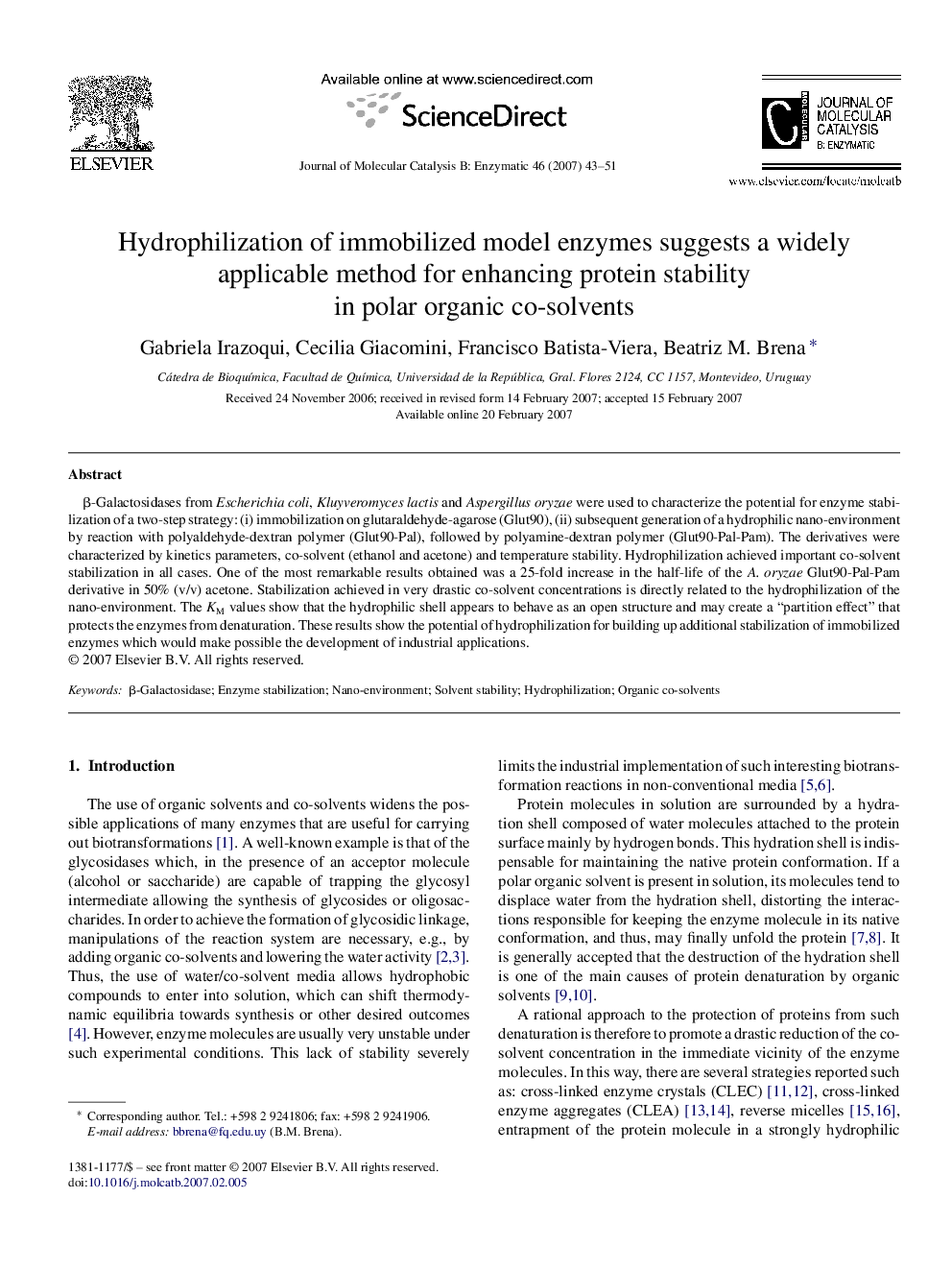 Hydrophilization of immobilized model enzymes suggests a widely applicable method for enhancing protein stability in polar organic co-solvents