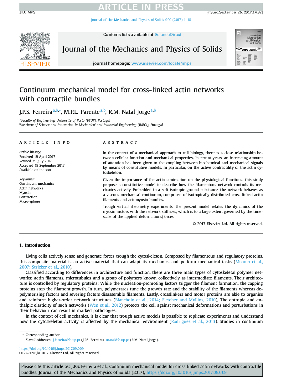 Continuum mechanical model for cross-linked actin networks with contractile bundles