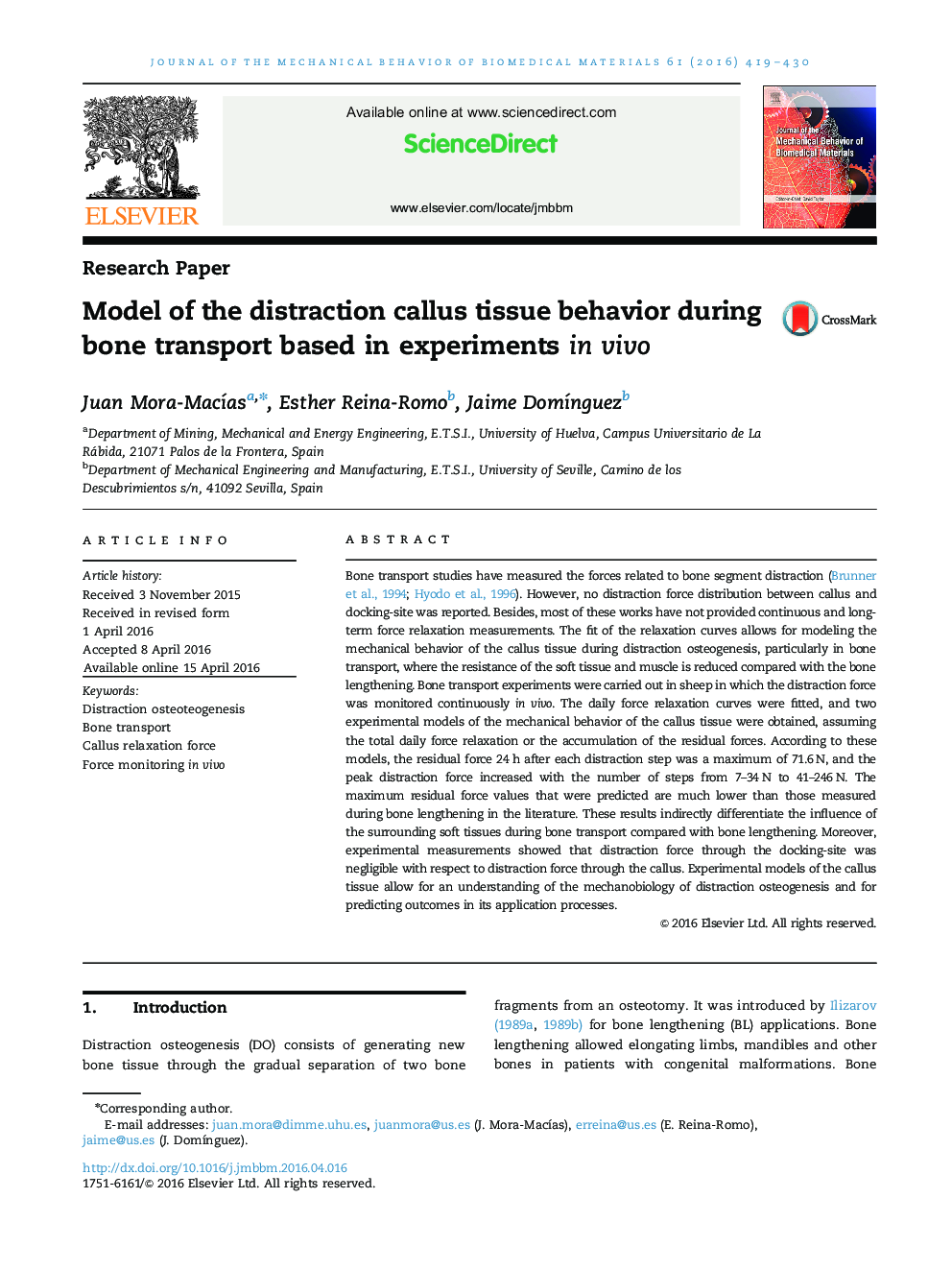 Model of the distraction callus tissue behavior during bone transport based in experiments in vivo