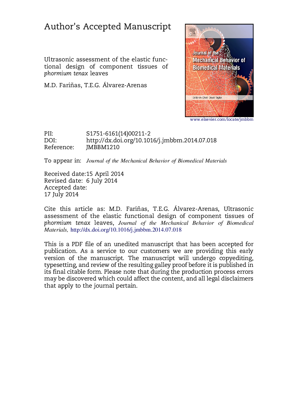 Ultrasonic assessment of the elastic functional design of component tissues of Phormium tenax leaves