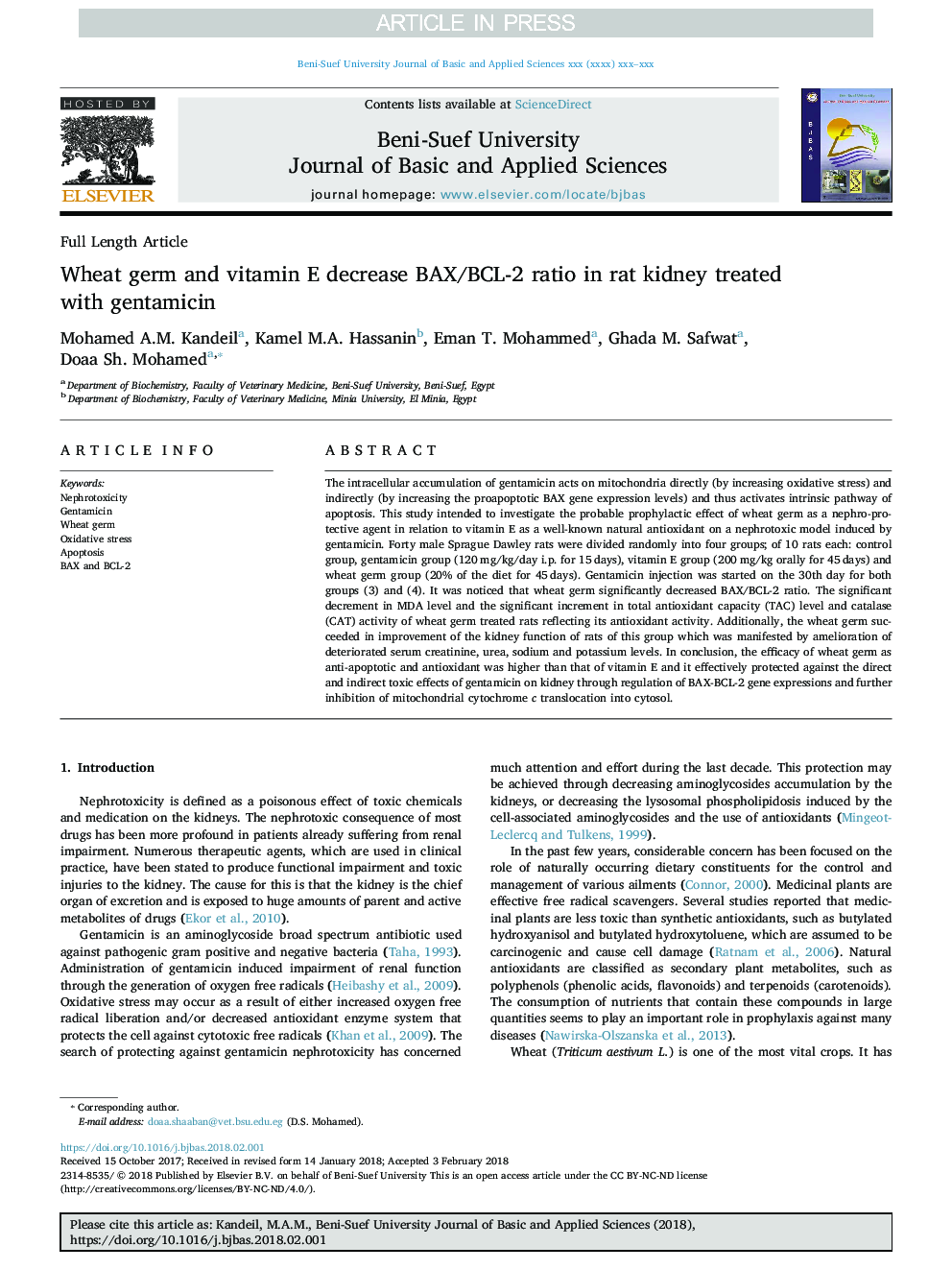 Wheat germ and vitamin E decrease BAX/BCL-2 ratio in rat kidney treated with gentamicin