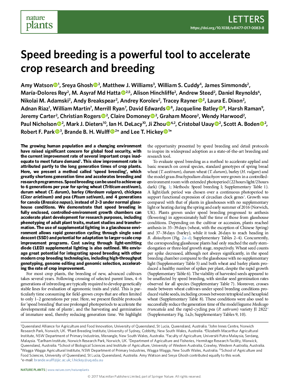 3D macroscopic superhydrophobic magnetic porous carbon aerogel converted from biorenewable popcorn for selective oil-water separation