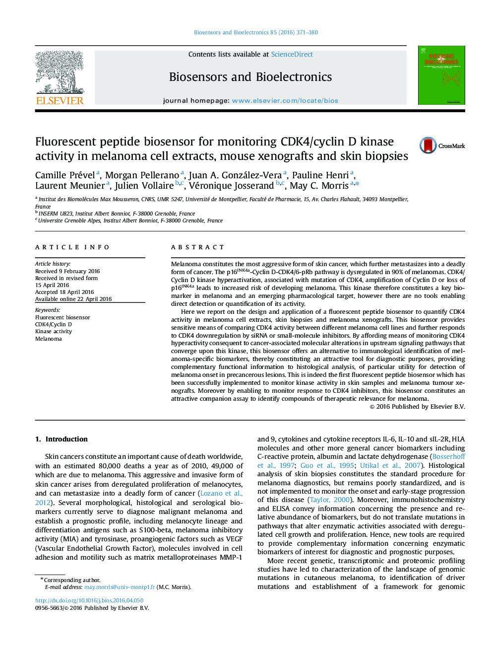 Fluorescent peptide biosensor for monitoring CDK4/cyclin D kinase activity in melanoma cell extracts, mouse xenografts and skin biopsies