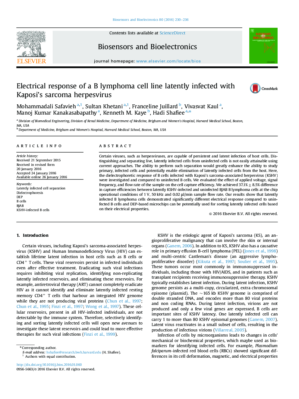 Electrical response of a B lymphoma cell line latently infected with Kaposi's sarcoma herpesvirus