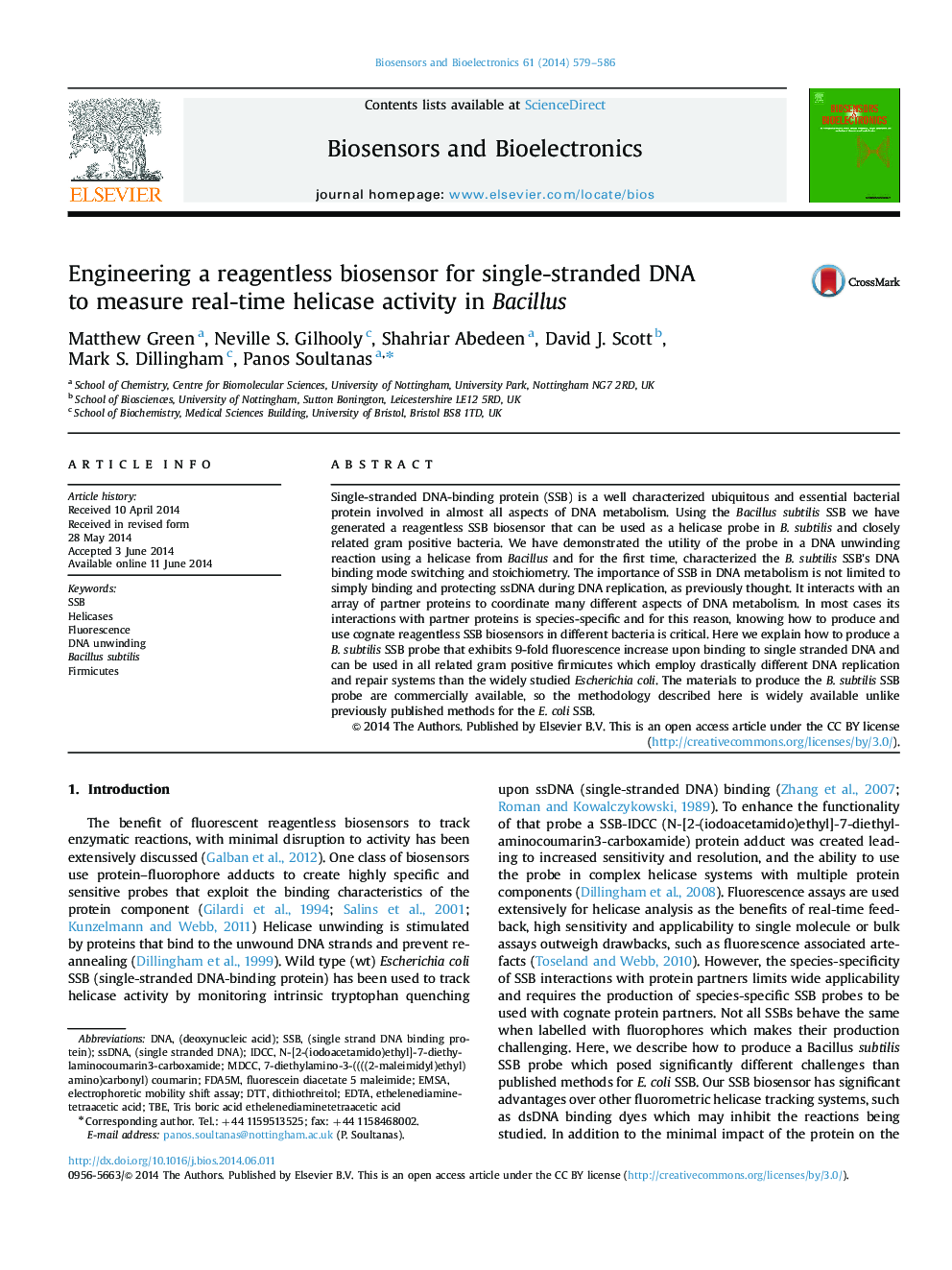 Engineering a reagentless biosensor for single-stranded DNA to measure real-time helicase activity in Bacillus