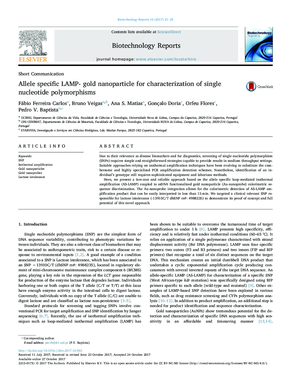 Allele specific LAMP- gold nanoparticle for characterization of single nucleotide polymorphisms