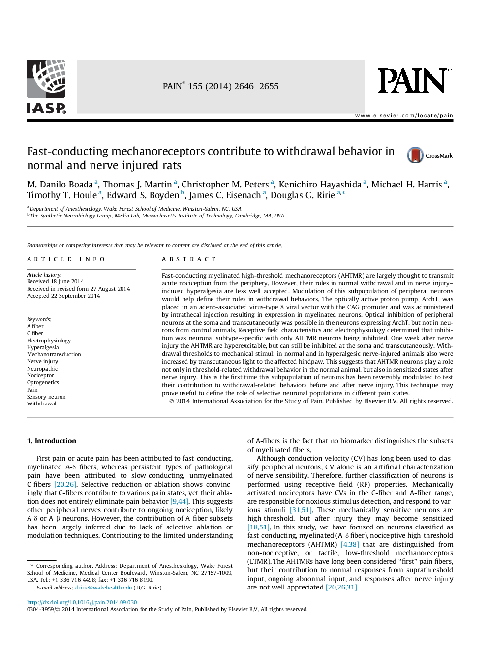 Fast-conducting mechanoreceptors contribute to withdrawal behavior in normal and nerve injured rats