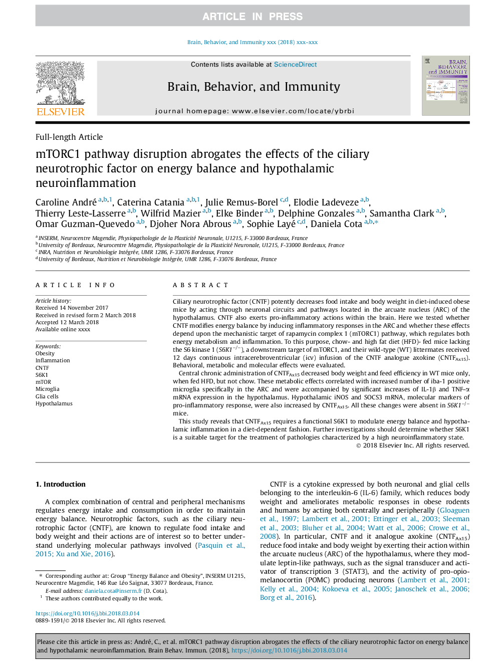 mTORC1 pathway disruption abrogates the effects of the ciliary neurotrophic factor on energy balance and hypothalamic neuroinflammation