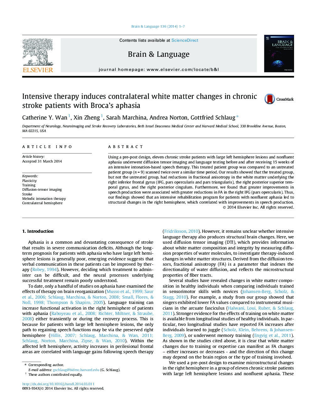 Intensive therapy induces contralateral white matter changes in chronic stroke patients with Broca's aphasia