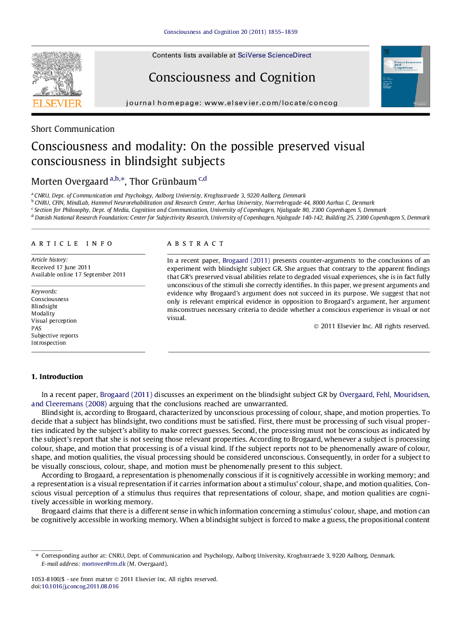 Consciousness and modality: On the possible preserved visual consciousness in blindsight subjects