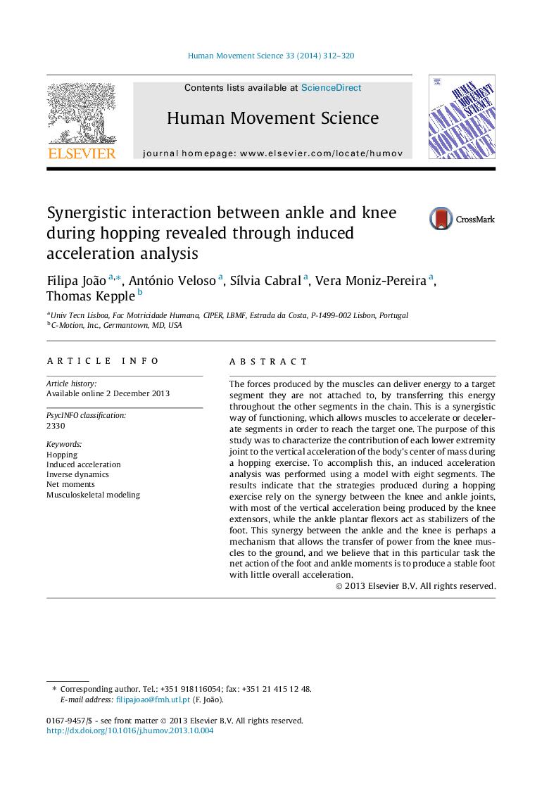 Synergistic interaction between ankle and knee during hopping revealed through induced acceleration analysis