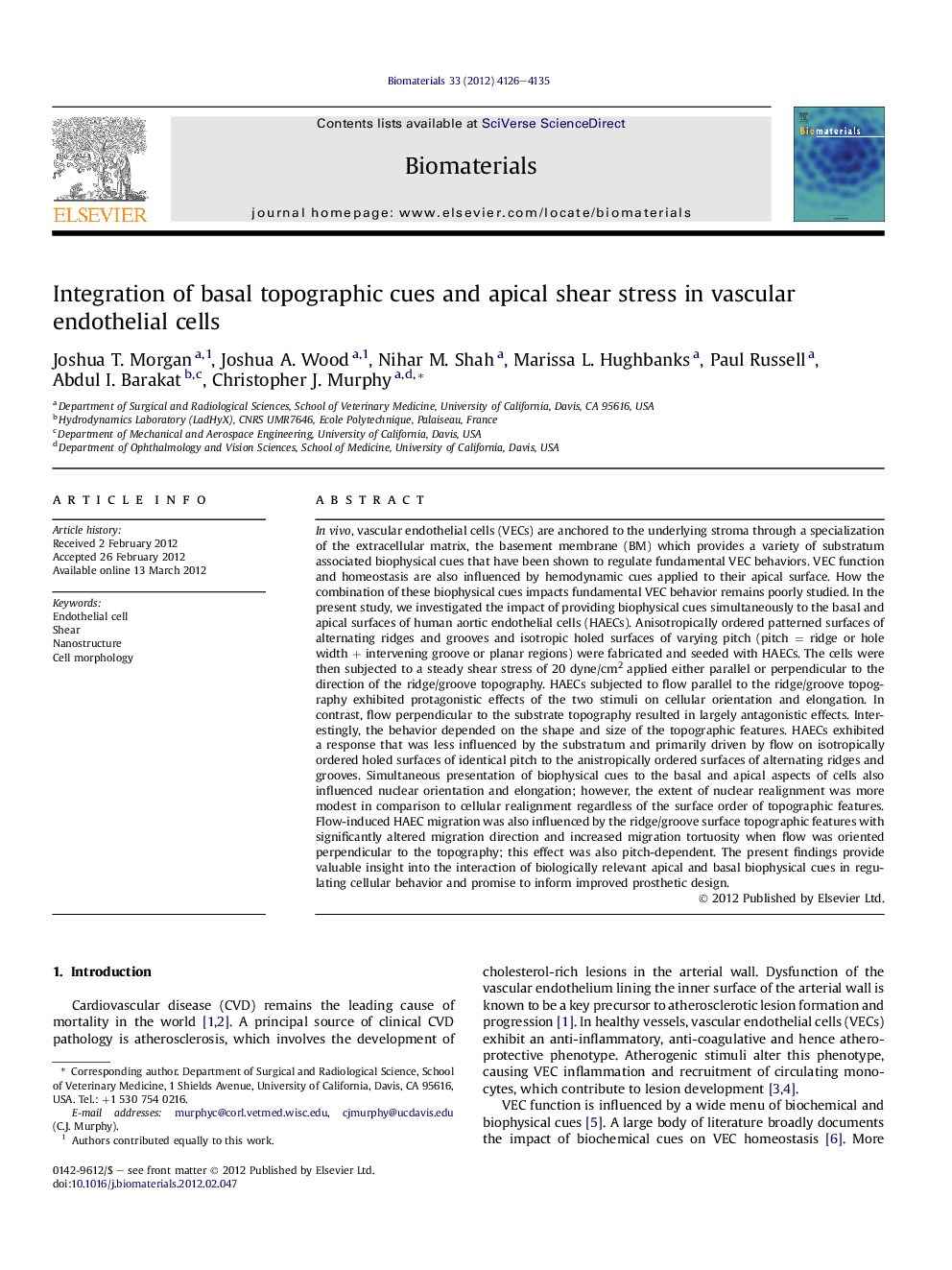 Integration of basal topographic cues and apical shear stress in vascular endothelial cells