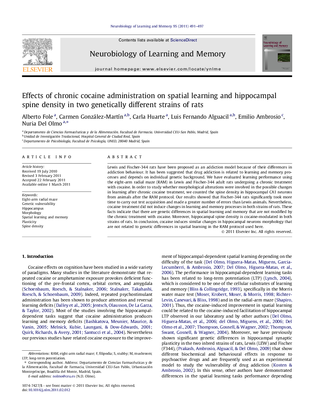 Effects of chronic cocaine administration on spatial learning and hippocampal spine density in two genetically different strains of rats