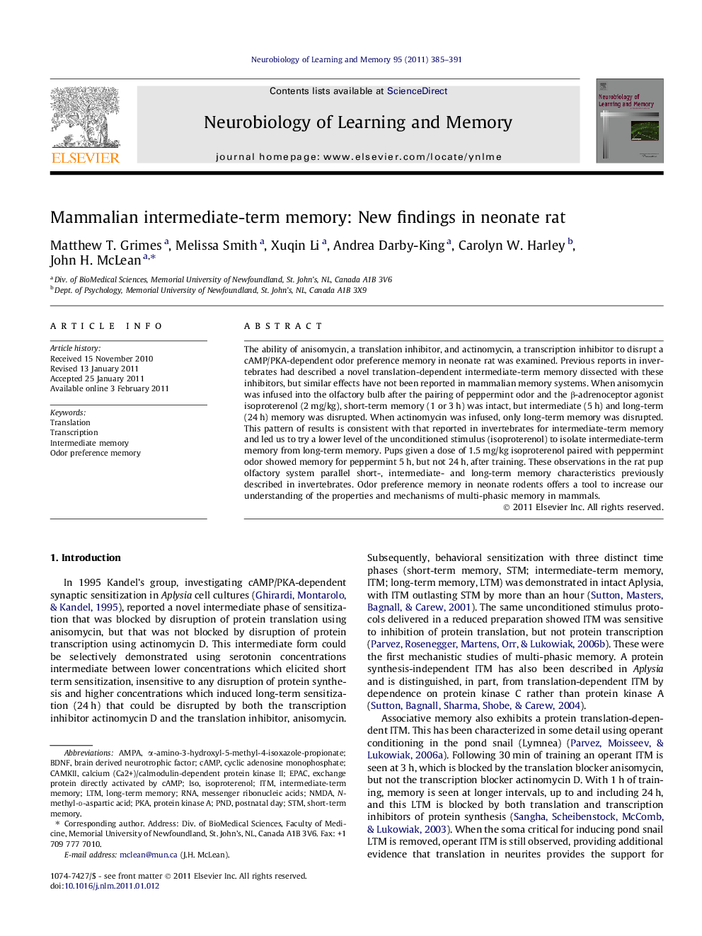 Mammalian intermediate-term memory: New findings in neonate rat