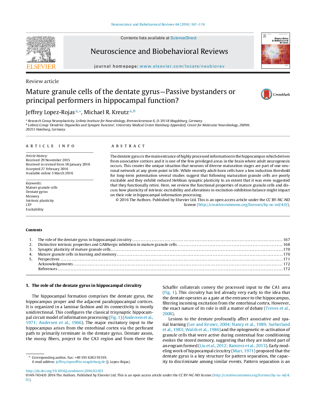 Mature granule cells of the dentate gyrus-Passive bystanders or principal performers in hippocampal function?