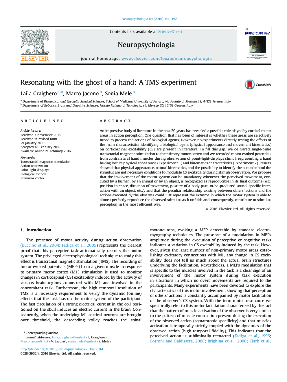 Resonating with the ghost of a hand: A TMS experiment