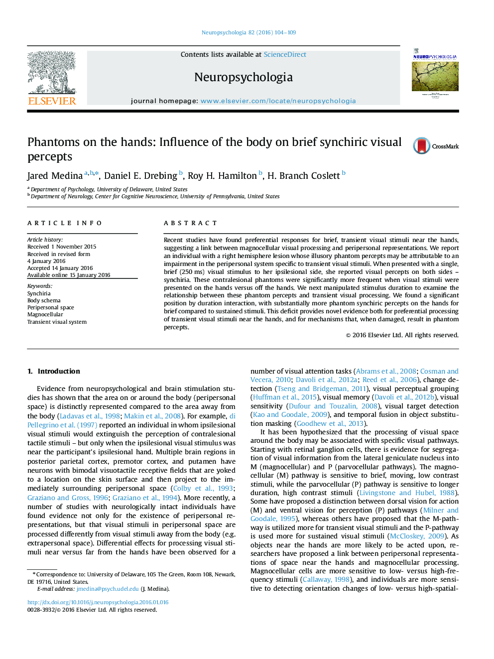 Phantoms on the hands: Influence of the body on brief synchiric visual percepts