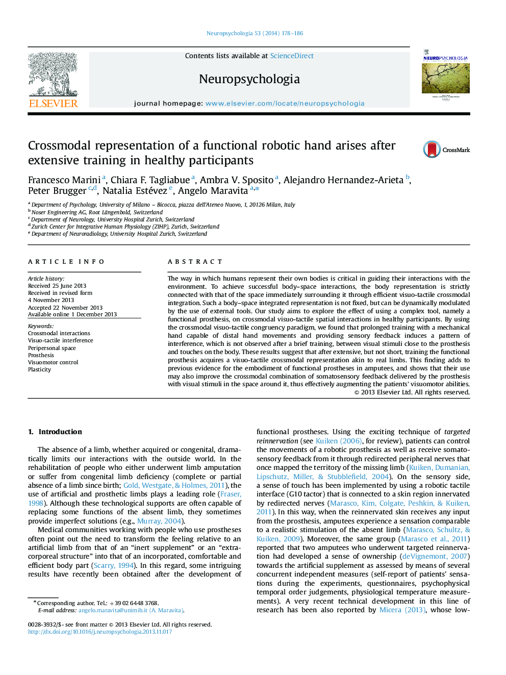 Crossmodal representation of a functional robotic hand arises after extensive training in healthy participants