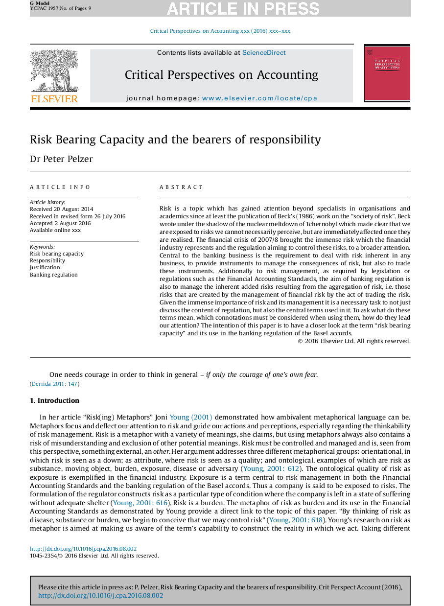 Risk bearing capacity and the bearers of responsibility