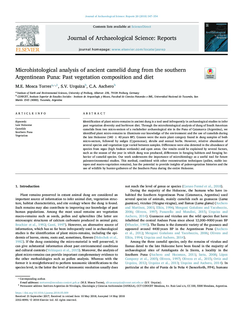 Microhistological analysis of ancient camelid dung from the southern Argentinean Puna: Past vegetation composition and diet