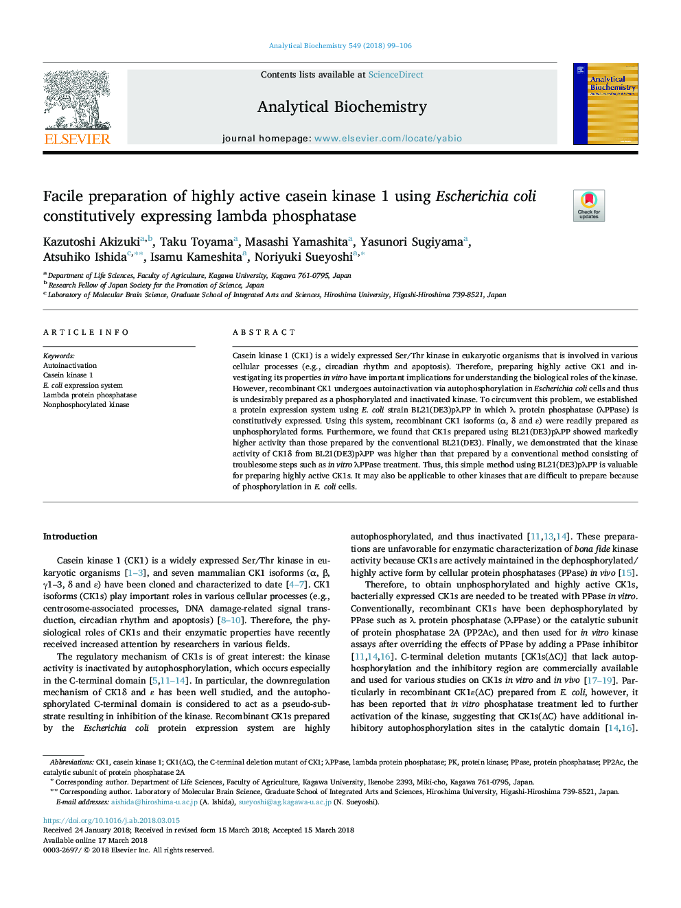 Facile preparation of highly active casein kinase 1 using Escherichia coli constitutively expressing lambda phosphatase