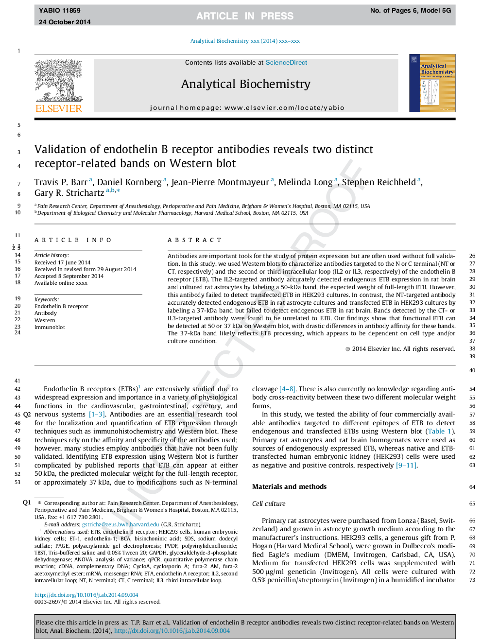 Validation of endothelin B receptor antibodies reveals two distinct receptor-related bands on Western blot