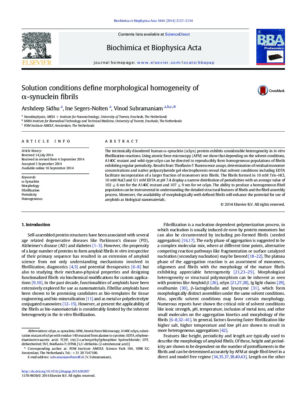 Solution conditions define morphological homogeneity of Î±-synuclein fibrils