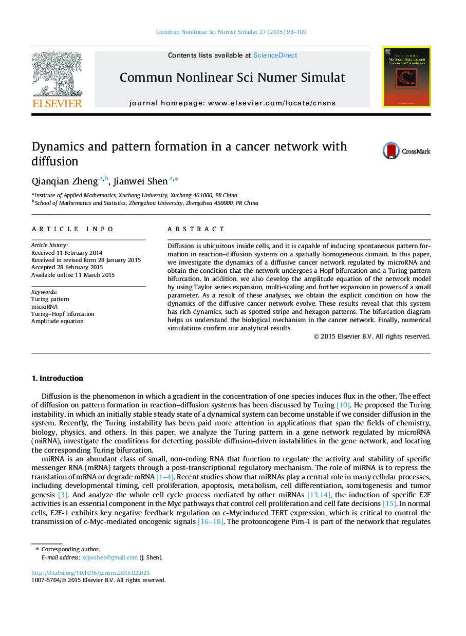 Dynamics and pattern formation in a cancer network with diffusion