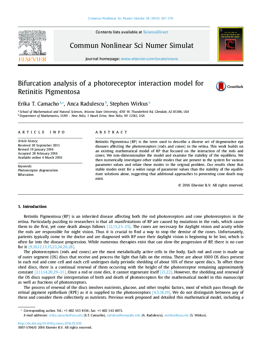 Bifurcation analysis of a photoreceptor interaction model for Retinitis Pigmentosa