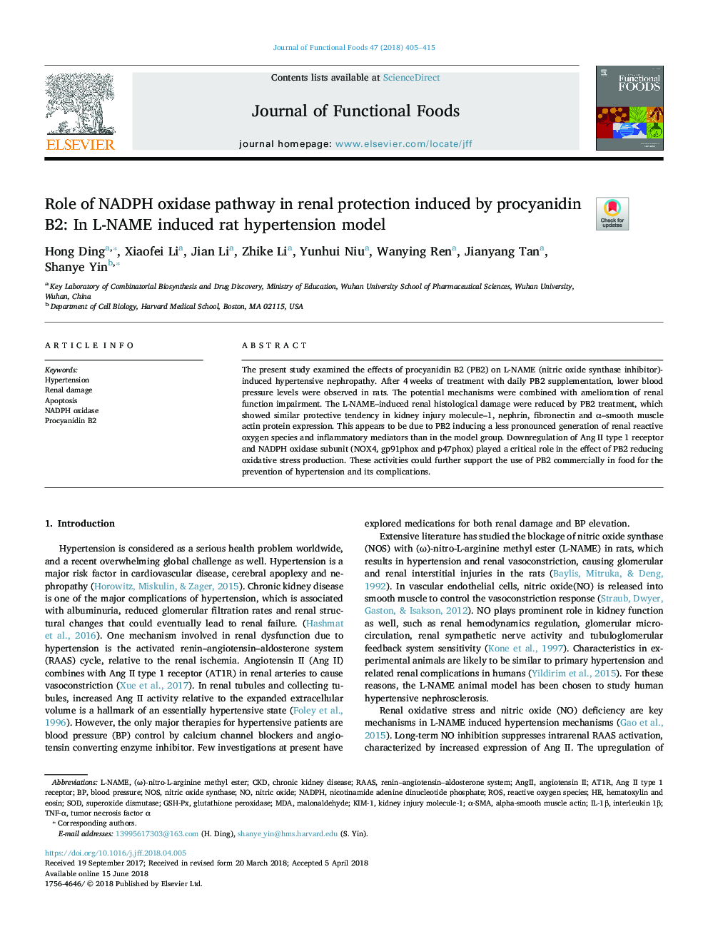 Role of NADPH oxidase pathway in renal protection induced by procyanidin B2: In L-NAME induced rat hypertension model