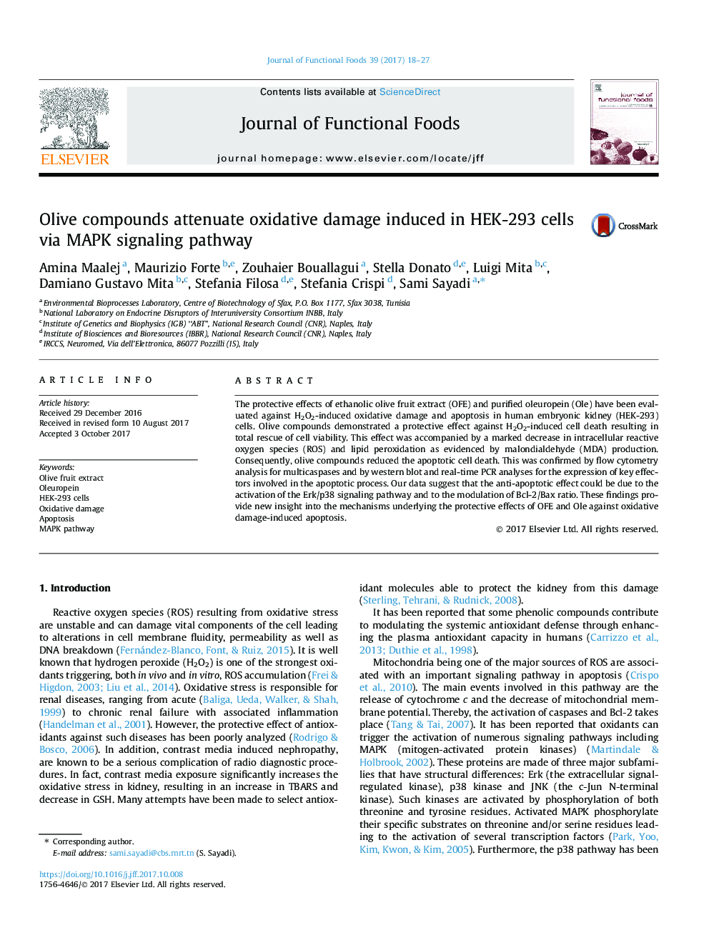 Olive compounds attenuate oxidative damage induced in HEK-293 cells via MAPK signaling pathway