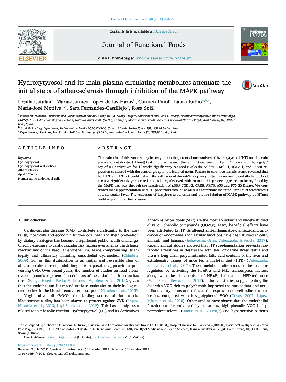 Hydroxytyrosol and its main plasma circulating metabolites attenuate the initial steps of atherosclerosis through inhibition of the MAPK pathway