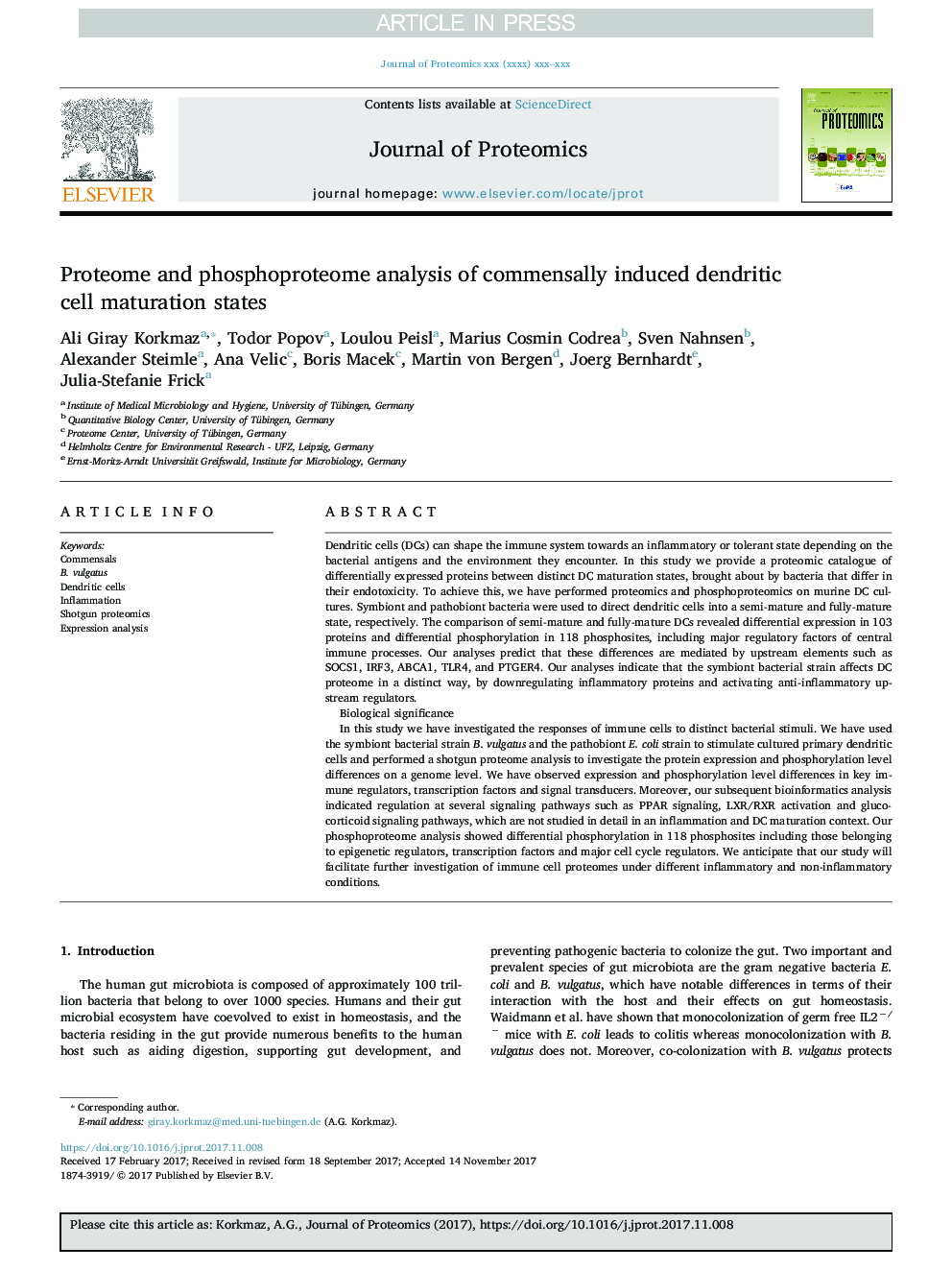 Proteome and phosphoproteome analysis of commensally induced dendritic cell maturation states