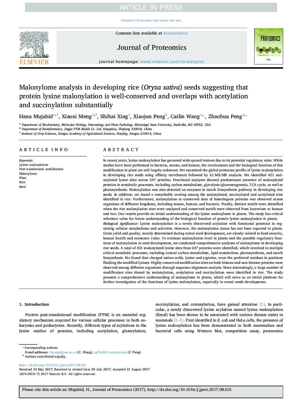 Malonylome analysis in developing rice (Oryza sativa) seeds suggesting that protein lysine malonylation is well-conserved and overlaps with acetylation and succinylation substantially