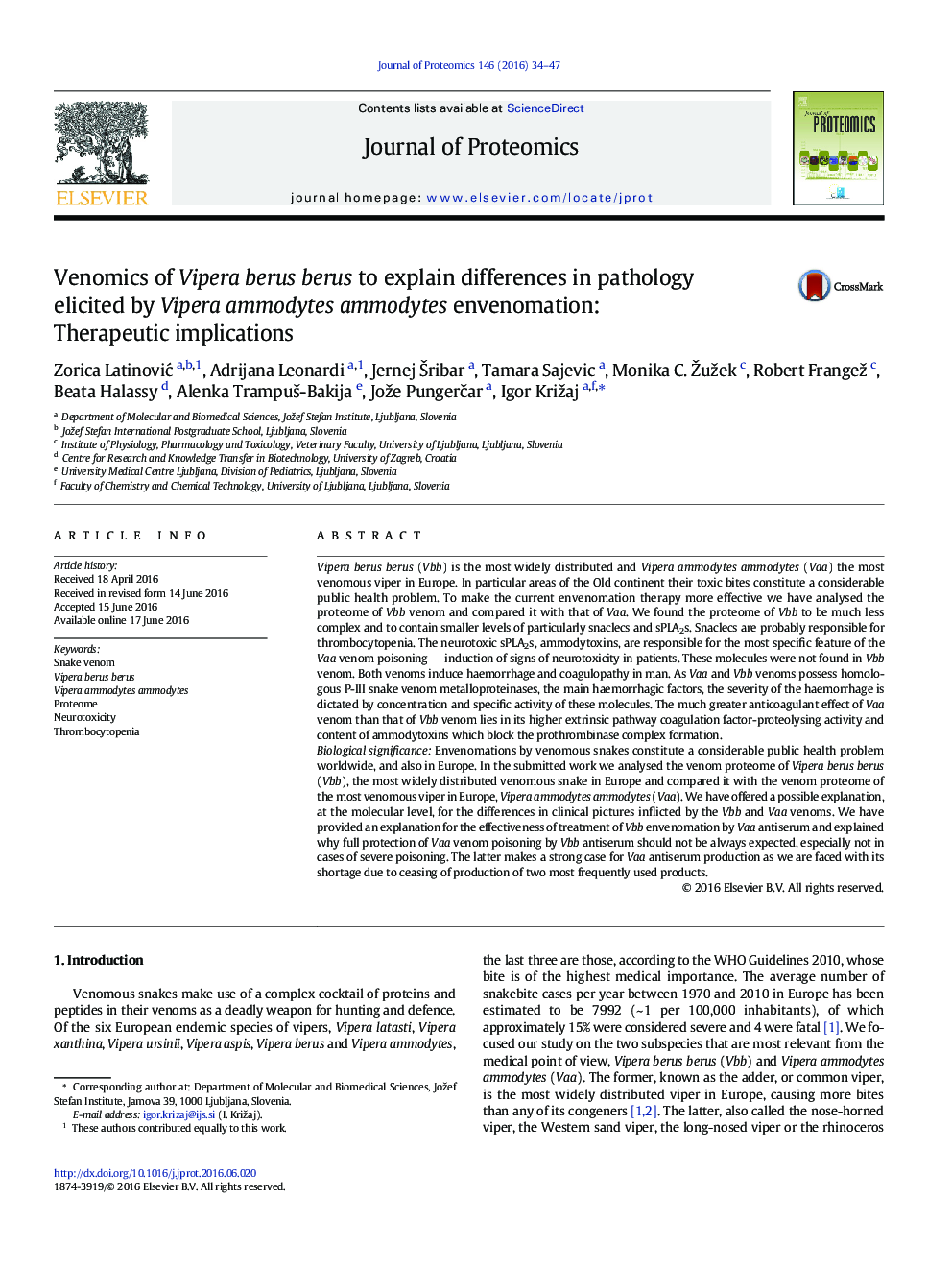 Venomics of Vipera berus berus to explain differences in pathology elicited by Vipera ammodytes ammodytes envenomation: Therapeutic implications