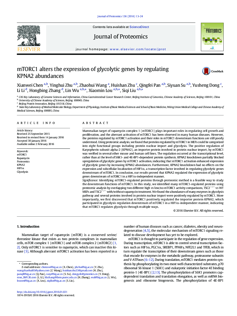 mTORC1 alters the expression of glycolytic genes by regulating KPNA2 abundances