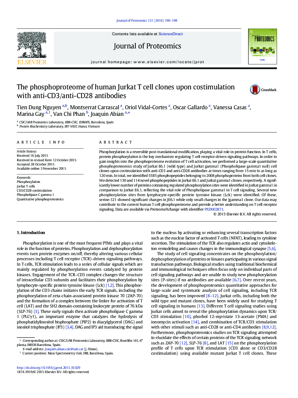 The phosphoproteome of human Jurkat T cell clones upon costimulation with anti-CD3/anti-CD28 antibodies