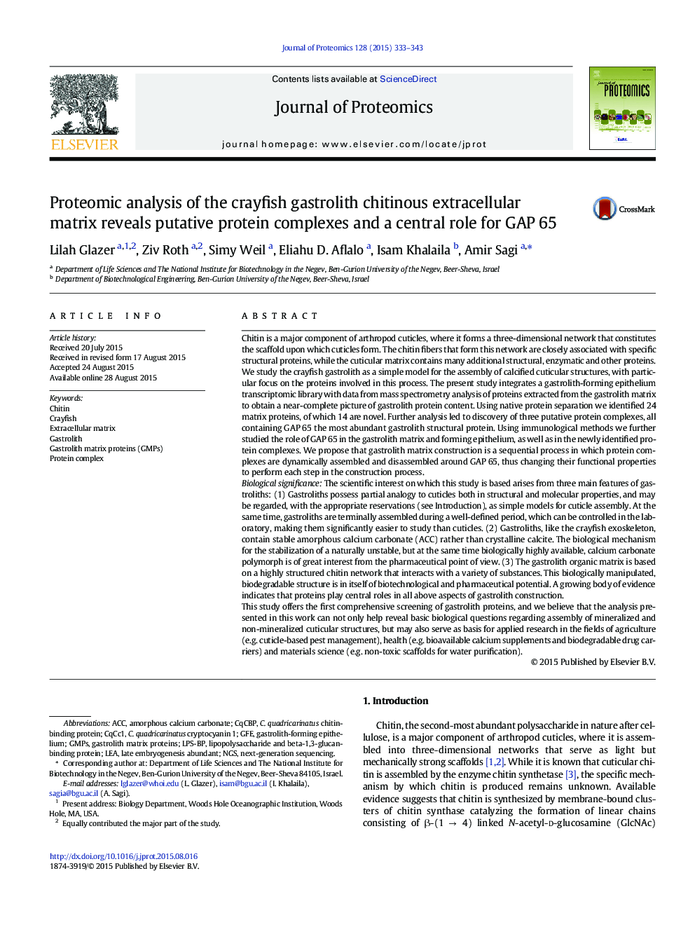 Proteomic analysis of the crayfish gastrolith chitinous extracellular matrix reveals putative protein complexes and a central role for GAP 65