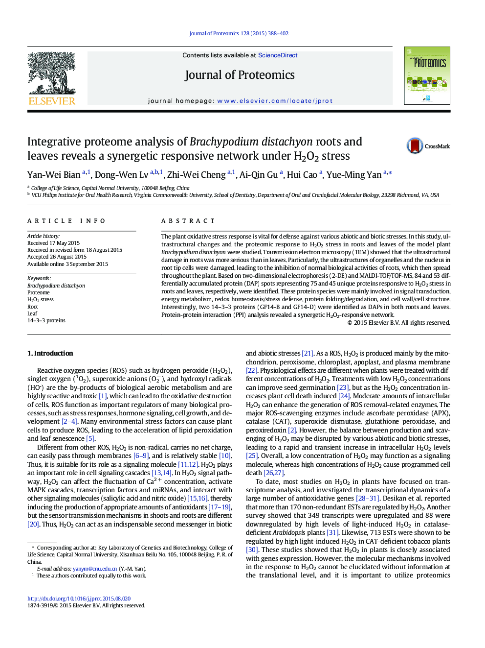 Integrative proteome analysis of Brachypodium distachyon roots and leaves reveals a synergetic responsive network under H2O2 stress