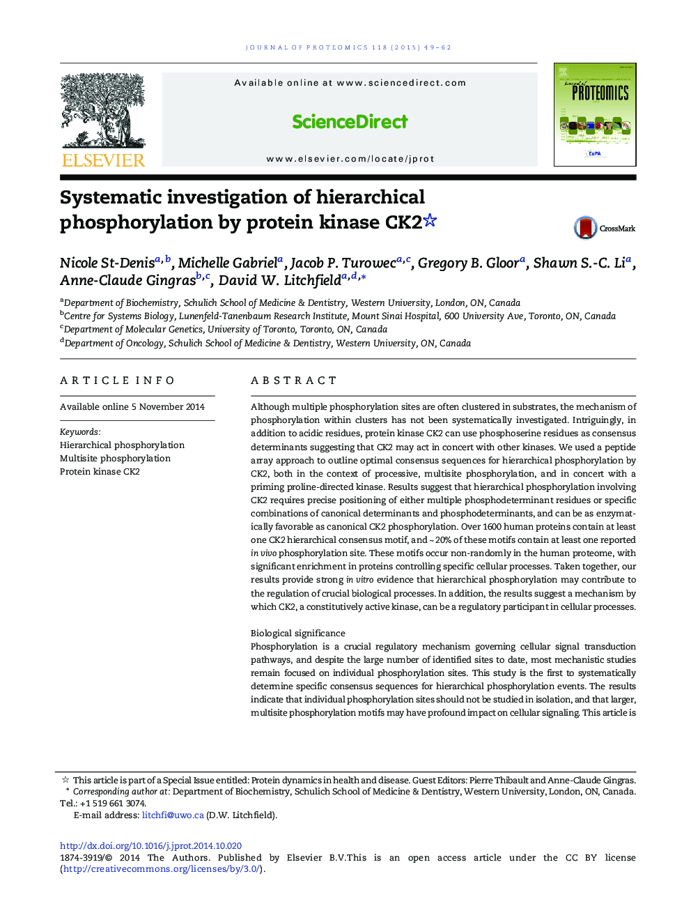 Systematic investigation of hierarchical phosphorylation by protein kinase CK2