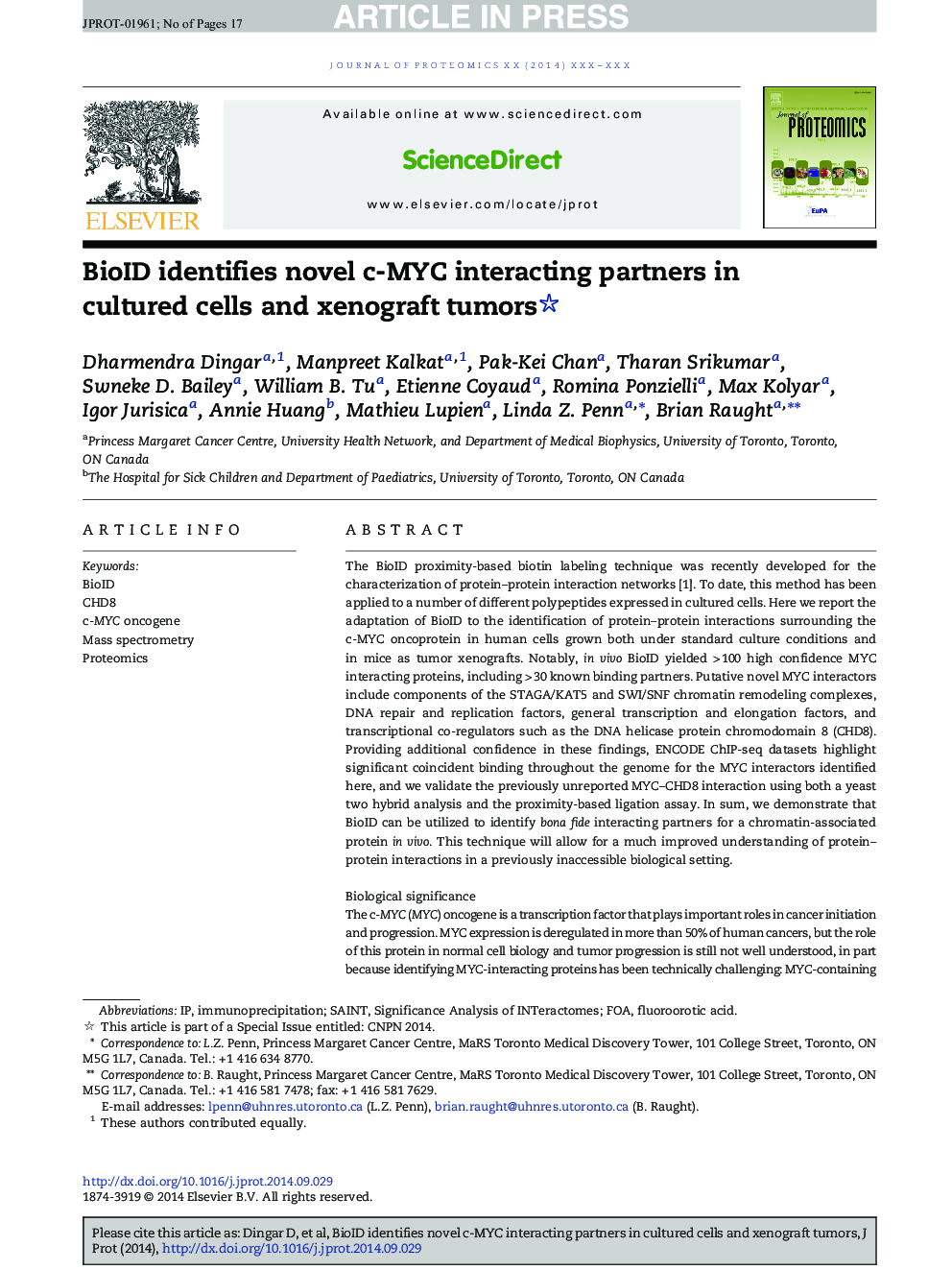 BioID identifies novel c-MYC interacting partners in cultured cells and xenograft tumors