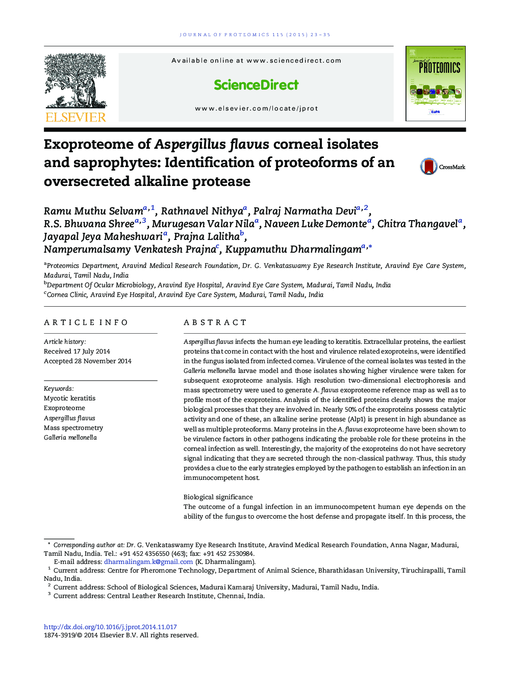 Exoproteome of Aspergillus flavus corneal isolates and saprophytes: Identification of proteoforms of an oversecreted alkaline protease