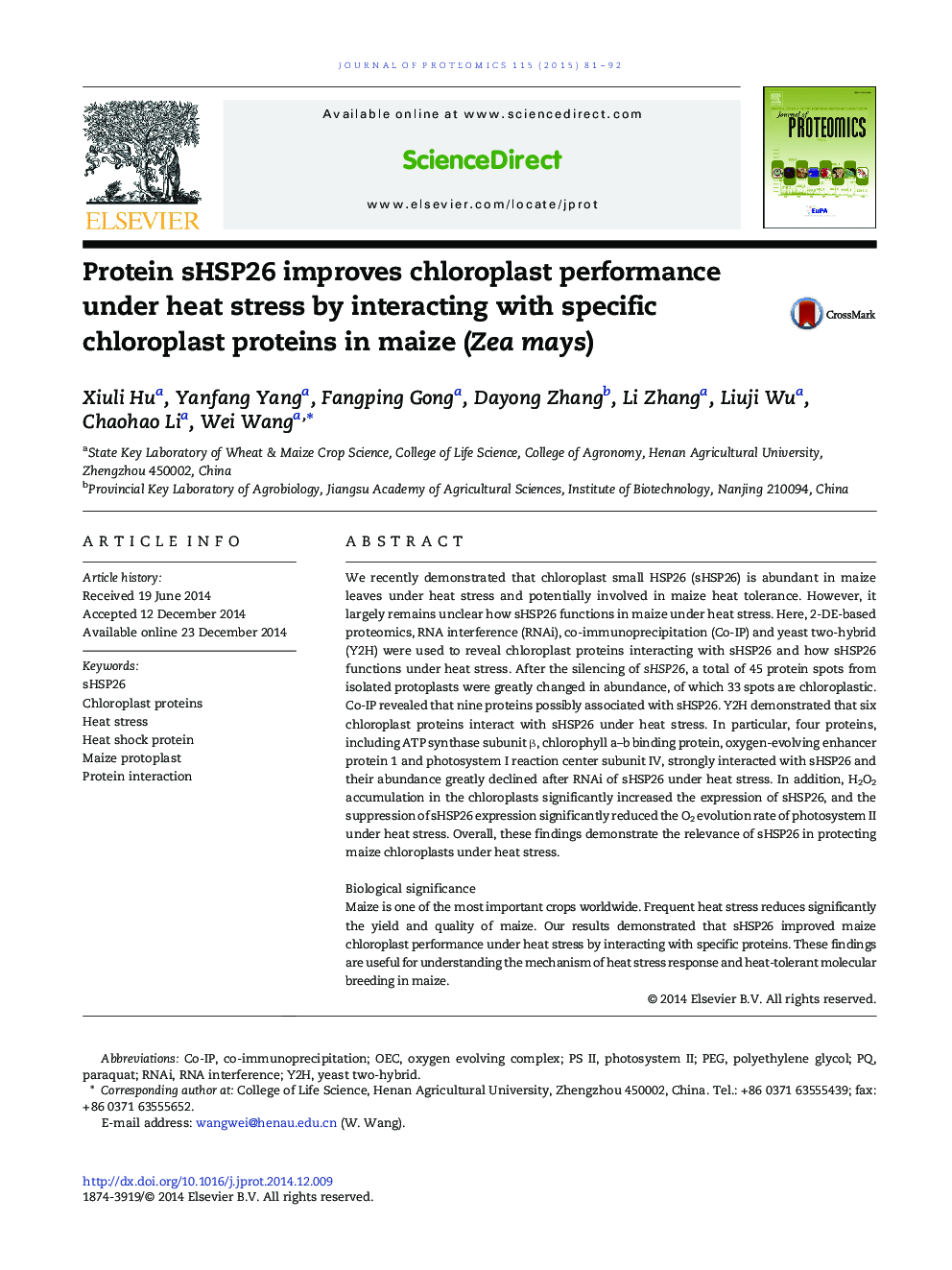 Protein sHSP26 improves chloroplast performance under heat stress by interacting with specific chloroplast proteins in maize (Zea mays)